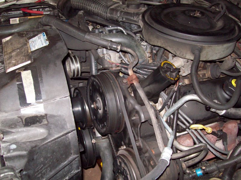 Holden Commodore Power Steering Pump