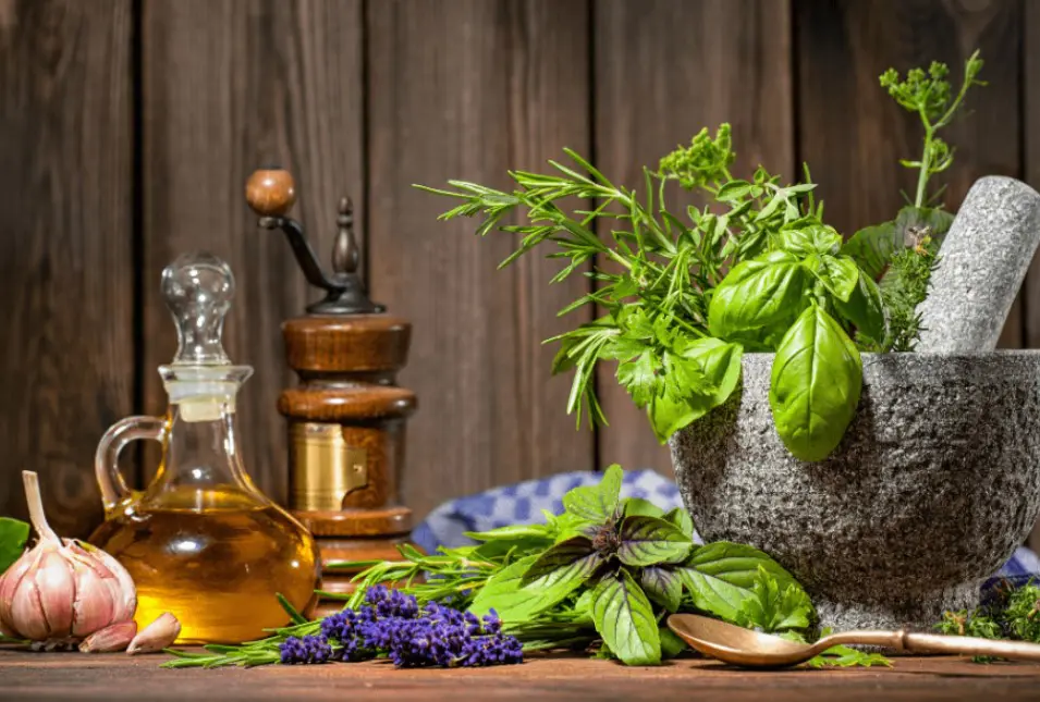 best naturopath Melbourne