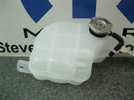  Dodge Journey Overflow Bottle