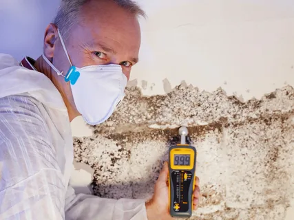  mould specialist Sydney