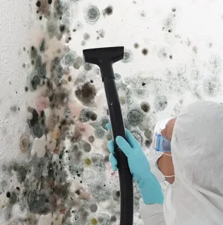 mould testing Sydney